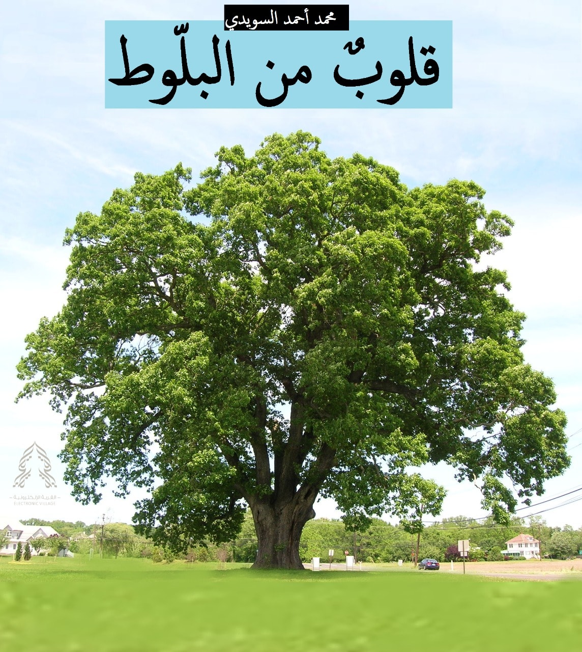 Electronic Village, His excellency mohammed ahmed khalifa al suwaidi, Arabic Poetry, Arabic Knowledge, arabic articles, astrology, science museum, art museum,goethe museum, alwaraq, arab poet, arabic poems, Arabic Books,Arabic Quiz, القرية الإلكترونية  , محمد أحمد خليفة السويدي  , محمد أحمد  السويدي ,  محمد    السويدي ,  محمد  سويدي , mohammed al suwaidi, mohammed al sowaidi,mohammed suwaidi, mohammed sowaidi, mohammad alsuwaidi, mohammad alsowaidi, mohammed ahmed alsuwaidi, محمد السويدي , محمد أحمد  السويدي , muhammed alsuwaidi,muhammed suwaidi