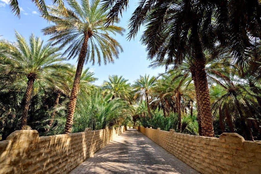 Electronic Village, His excellency mohammed ahmed khalifa al suwaidi, Arabic Poetry, Arabic Knowledge, arabic articles, astrology, science museum, art museum,goethe museum, alwaraq, arab poet, arabic poems, Arabic Books,Arabic Quiz, القرية الإلكترونية  , محمد أحمد خليفة السويدي  , محمد أحمد  السويدي ,  محمد    السويدي ,  محمد  سويدي , mohammed al suwaidi, mohammed al sowaidi,mohammed suwaidi, mohammed sowaidi, mohammad alsuwaidi, mohammad alsowaidi, mohammed ahmed alsuwaidi, محمد السويدي , محمد أحمد  السويدي , muhammed alsuwaidi,muhammed suwaidi