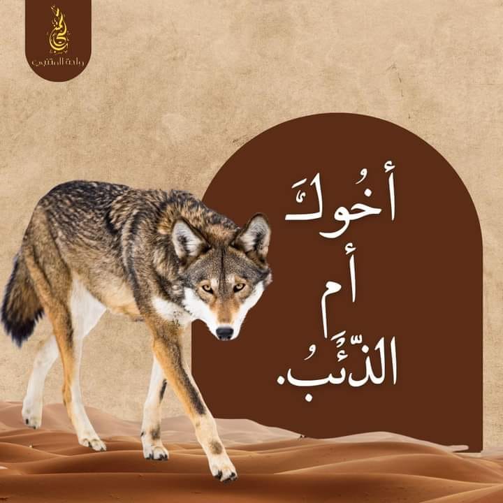 Electronic Village, His excellency mohammed ahmed khalifa al suwaidi, Arabic Poetry, Arabic Knowledge, arabic articles, astrology, science museum, art museum,goethe museum, alwaraq, arab poet, arabic poems, Arabic Books,Arabic Quiz, القرية الإلكترونية  , محمد أحمد خليفة السويدي  , محمد أحمد  السويدي ,  محمد    السويدي ,  محمد  سويدي , mohammed al suwaidi, mohammed al sowaidi,mohammed suwaidi, mohammed sowaidi, mohammad alsuwaidi, mohammad alsowaidi, mohammed ahmed alsuwaidi, محمد السويدي , محمد أحمد  السويدي , muhammed alsuwaidi,muhammed suwaidi