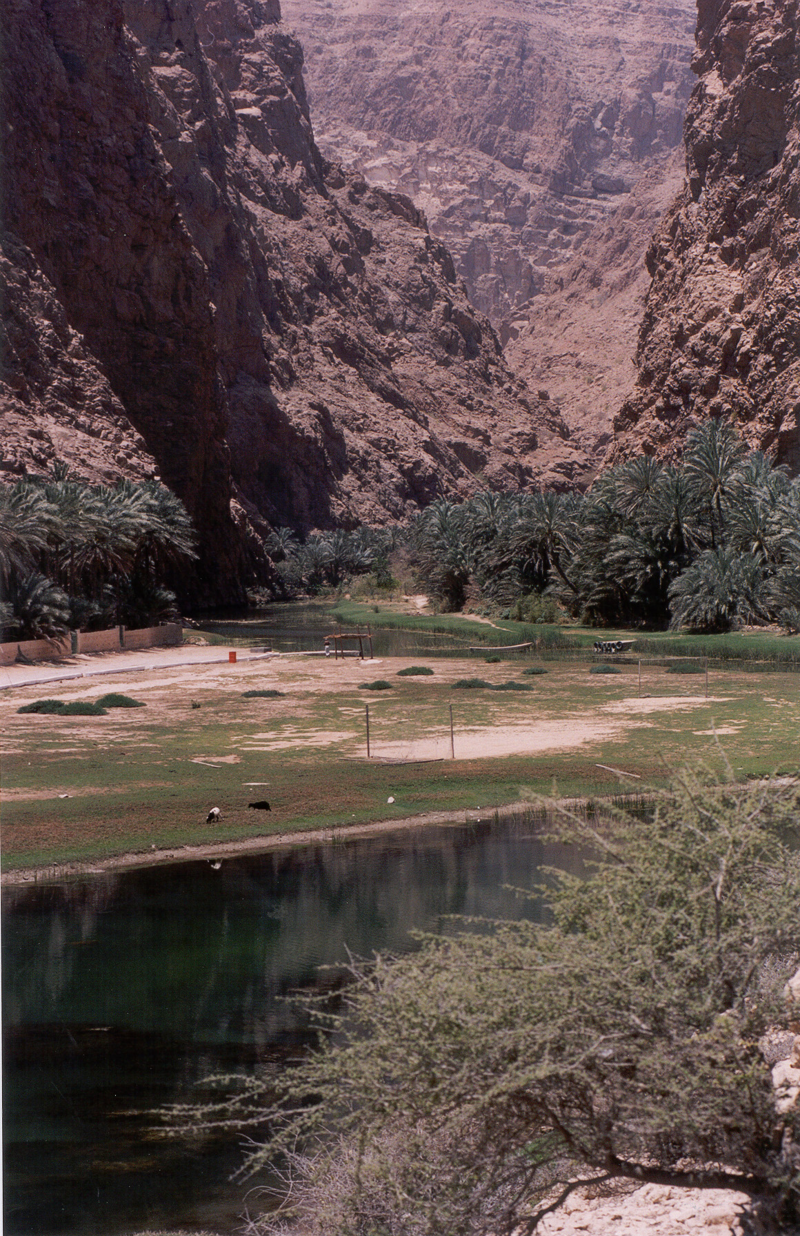 منظر  لطيوي من الشاطىء, Electronic Village, His excellency mohammed ahmed khalifa al suwaidi, Arabic Poetry, Arabic Knowledge, arabic articles, astrology, science museum, art museum,goethe museum, alwaraq, arab poet, arabic poems, Arabic Books,Arabic Quiz, القرية الإلكترونية  , محمد أحمد خليفة السويدي  , محمد أحمد  السويدي ,  محمد    السويدي ,  محمد  سويدي , mohammed al suwaidi, mohammed al sowaidi,mohammed suwaidi, mohammed sowaidi, mohammad alsuwaidi, mohammad alsowaidi, mohammed ahmed alsuwaidi, محمد السويدي , محمد أحمد  السويدي , muhammed alsuwaidi,muhammed suwaidi 