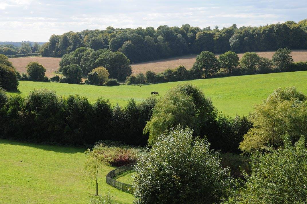 
مشهد ساحر من دارتنا "رجوود" في بكنزفيلد غرب مدينة لندن.

An enchanting view from our house at Ridgewood, Kingsfield west of London, Electronic Village, His excellency mohammed ahmed khalifa al suwaidi, Arabic Poetry, Arabic Knowledge, arabic articles, astrology, science museum, art museum,goethe museum, alwaraq, arab poet, arabic poems, Arabic Books,Arabic Quiz, القرية الإلكترونية  , محمد أحمد خليفة السويدي  , محمد أحمد  السويدي ,  محمد    السويدي ,  محمد  سويدي , mohammed al suwaidi, mohammed al sowaidi,mohammed suwaidi, mohammed sowaidi, mohammad alsuwaidi, mohammad alsowaidi, mohammed ahmed alsuwaidi, محمد السويدي , محمد أحمد  السويدي , muhammed alsuwaidi,muhammed suwaidi 