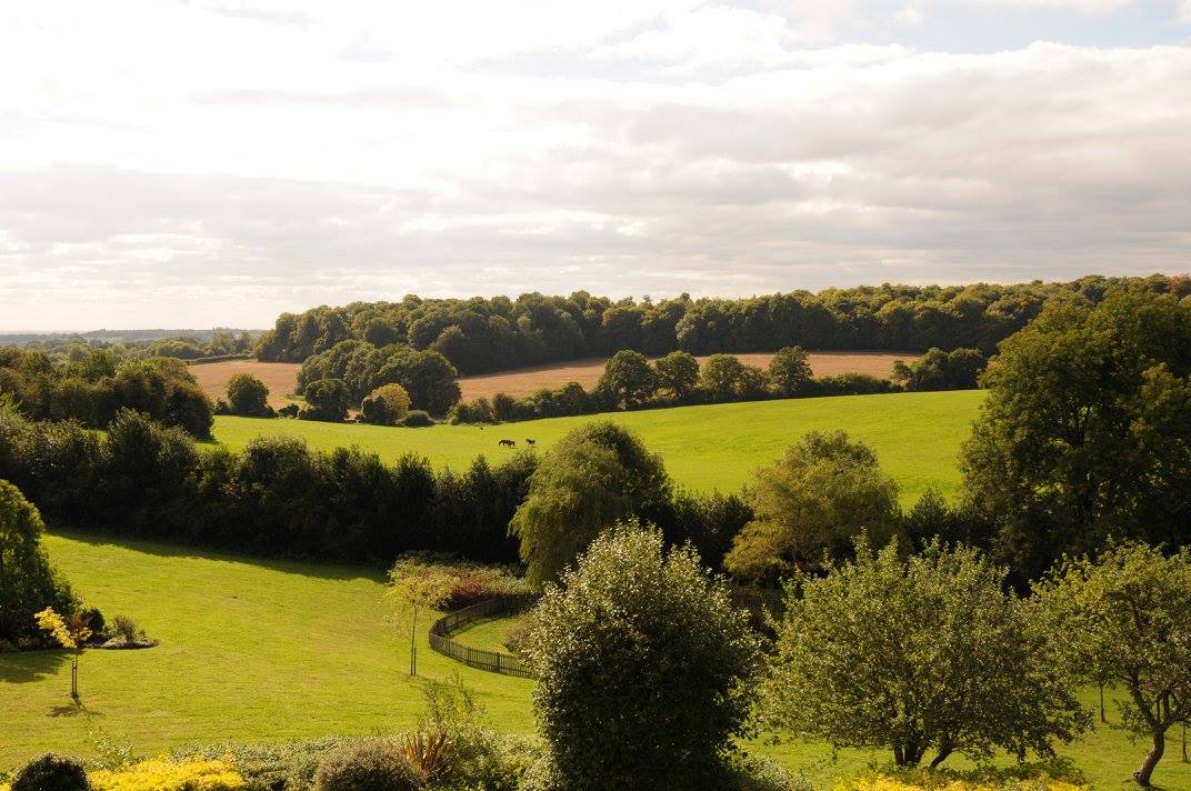 مشهد ساحر من دارتنا "رجوود" في بكنزفيلد غرب مدينة لندن.

An enchanting view from our house at Ridgewood, Kingsfield west of London  , Electronic Village, His excellency mohammed ahmed khalifa al suwaidi, Arabic Poetry, Arabic Knowledge, arabic articles, astrology, science museum, art museum,goethe museum, alwaraq, arab poet, arabic poems, Arabic Books,Arabic Quiz, القرية الإلكترونية  , محمد أحمد خليفة السويدي  , محمد أحمد  السويدي ,  محمد    السويدي ,  محمد  سويدي , mohammed al suwaidi, mohammed al sowaidi,mohammed suwaidi, mohammed sowaidi, mohammad alsuwaidi, mohammad alsowaidi, mohammed ahmed alsuwaidi, محمد السويدي , محمد أحمد  السويدي , muhammed alsuwaidi,muhammed suwaidi 