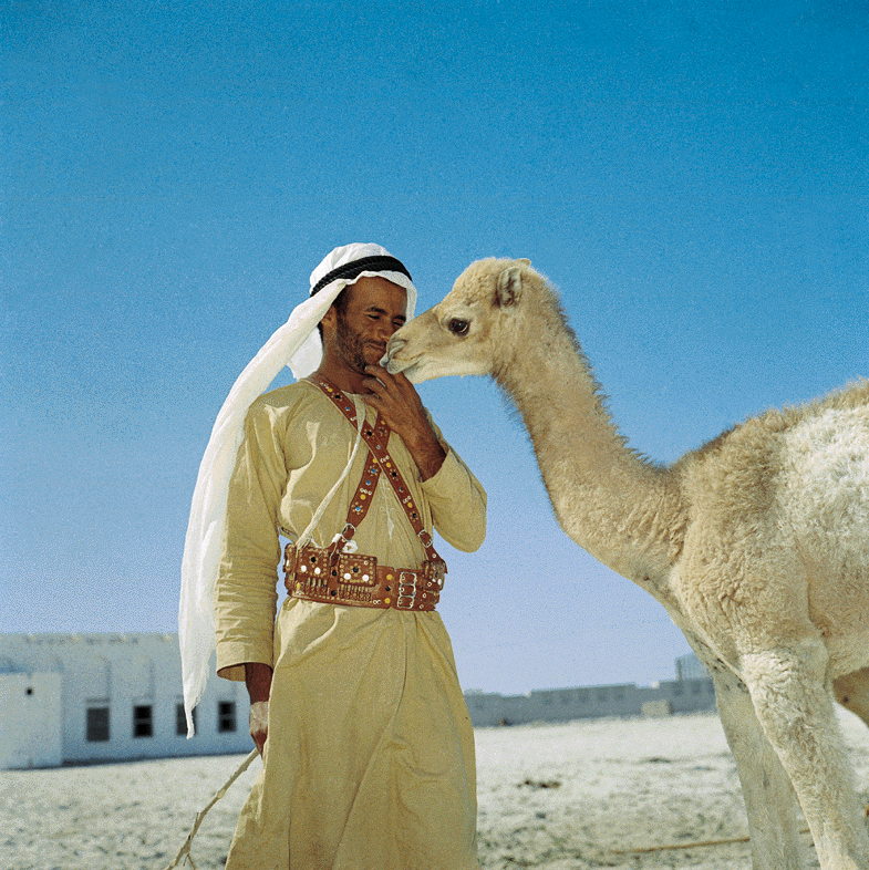 Old Abudhabi, Electronic Village, His excellency mohammed ahmed khalifa al suwaidi, Arabic Poetry, Arabic Knowledge, arabic articles, astrology, science museum, art museum,goethe museum, alwaraq, arab poet, arabic poems, Arabic Books,Arabic Quiz, القرية الإلكترونية  , محمد أحمد خليفة السويدي  , محمد أحمد  السويدي ,  محمد    السويدي ,  محمد  سويدي , mohammed al suwaidi, mohammed al sowaidi,mohammed suwaidi, mohammed sowaidi, mohammad alsuwaidi, mohammad alsowaidi, mohammed ahmed alsuwaidi, محمد السويدي , محمد أحمد  السويدي , muhammed alsuwaidi,muhammed suwaidi 
