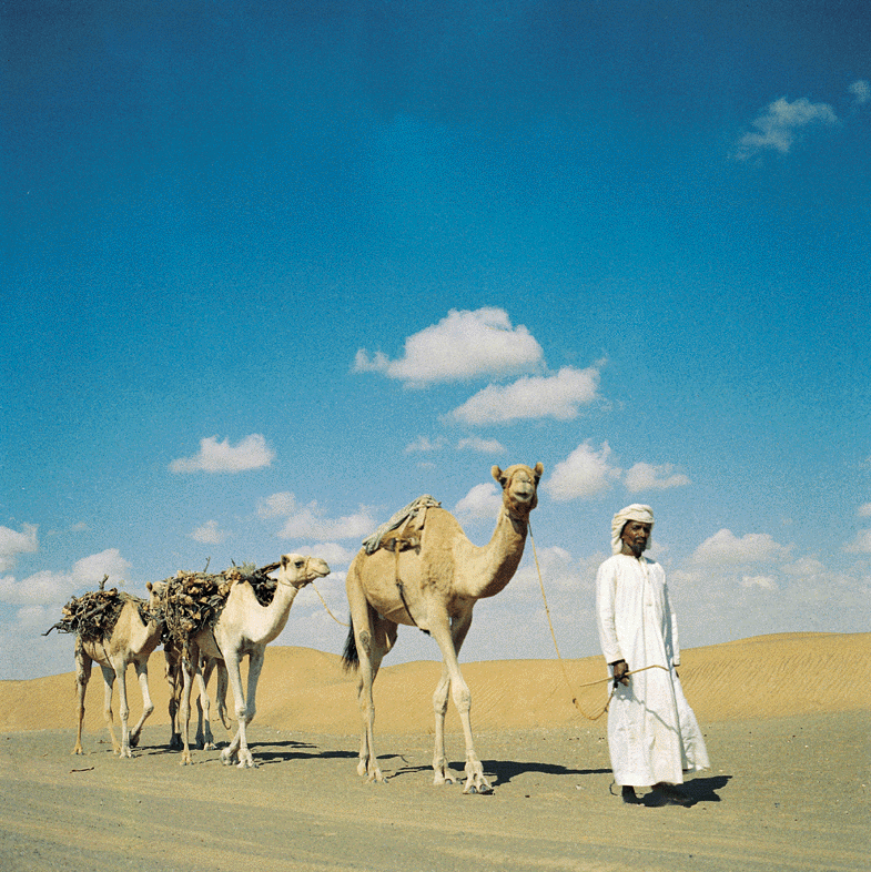 Old Abudhabi, Electronic Village, His excellency mohammed ahmed khalifa al suwaidi, Arabic Poetry, Arabic Knowledge, arabic articles, astrology, science museum, art museum,goethe museum, alwaraq, arab poet, arabic poems, Arabic Books,Arabic Quiz, القرية الإلكترونية  , محمد أحمد خليفة السويدي  , محمد أحمد  السويدي ,  محمد    السويدي ,  محمد  سويدي , mohammed al suwaidi, mohammed al sowaidi,mohammed suwaidi, mohammed sowaidi, mohammad alsuwaidi, mohammad alsowaidi, mohammed ahmed alsuwaidi, محمد السويدي , محمد أحمد  السويدي , muhammed alsuwaidi,muhammed suwaidi 