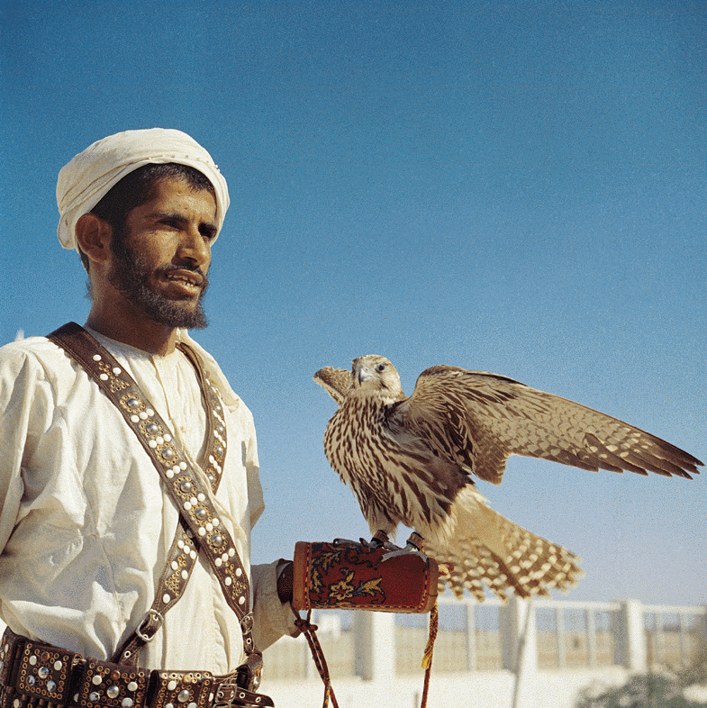 Old Abudhabi, Electronic Village, His excellency mohammed ahmed khalifa al suwaidi, Arabic Poetry, Arabic Knowledge, arabic articles, astrology, science museum, art museum,goethe museum, alwaraq, arab poet, arabic poems, Arabic Books,Arabic Quiz, القرية الإلكترونية  , محمد أحمد خليفة السويدي  , محمد أحمد  السويدي ,  محمد    السويدي ,  محمد  سويدي , mohammed al suwaidi, mohammed al sowaidi,mohammed suwaidi, mohammed sowaidi, mohammad alsuwaidi, mohammad alsowaidi, mohammed ahmed alsuwaidi, محمد السويدي , محمد أحمد  السويدي , muhammed alsuwaidi,muhammed suwaidi 