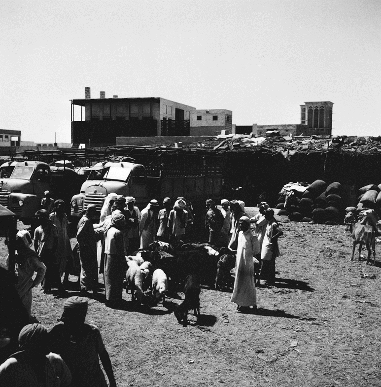 Old Abudhabi, Electronic Village, His excellency mohammed ahmed khalifa al suwaidi, Arabic Poetry, Arabic Knowledge, arabic articles, astrology, science museum, art museum,goethe museum, alwaraq, arab poet, arabic poems, Arabic Books,Arabic Quiz, القرية الإلكترونية  , محمد أحمد خليفة السويدي  , محمد أحمد  السويدي ,  محمد    السويدي ,  محمد  سويدي , mohammed al suwaidi, mohammed al sowaidi,mohammed suwaidi, mohammed sowaidi, mohammad alsuwaidi, mohammad alsowaidi, mohammed ahmed alsuwaidi, محمد السويدي , محمد أحمد  السويدي , muhammed alsuwaidi,muhammed suwaidi 