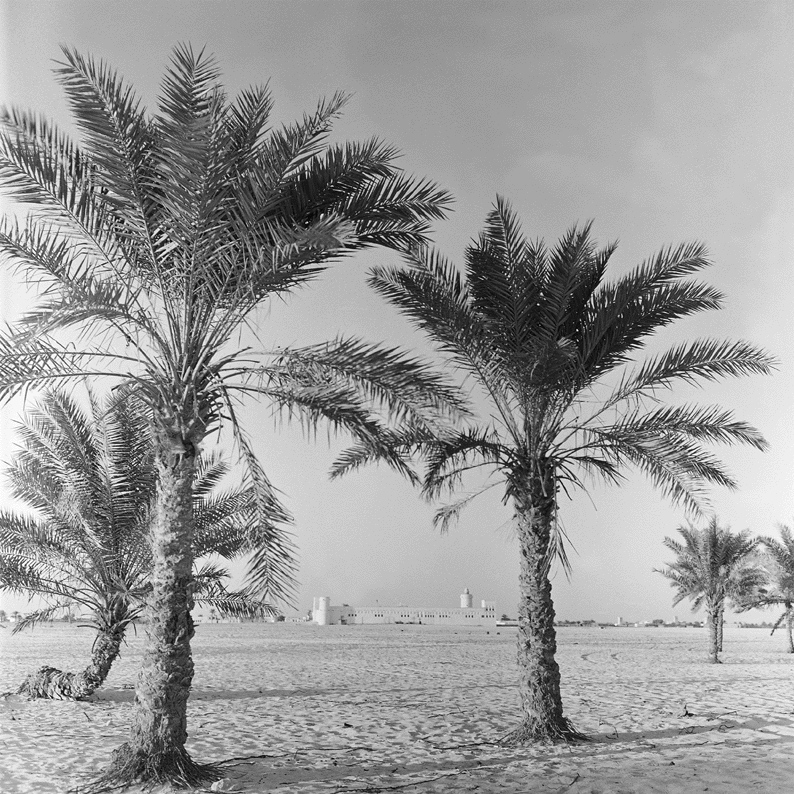 Old Abudhabi, Electronic Village, His excellency mohammed ahmed khalifa al suwaidi, Arabic Poetry, Arabic Knowledge, arabic articles, astrology, science museum, art museum,goethe museum, alwaraq, arab poet, arabic poems, Arabic Books,Arabic Quiz, القرية الإلكترونية  , محمد أحمد خليفة السويدي  , محمد أحمد  السويدي ,  محمد    السويدي ,  محمد  سويدي , mohammed al suwaidi, mohammed al sowaidi,mohammed suwaidi, mohammed sowaidi, mohammad alsuwaidi, mohammad alsowaidi, mohammed ahmed alsuwaidi, محمد السويدي , محمد أحمد  السويدي , muhammed alsuwaidi,muhammed suwaidi 