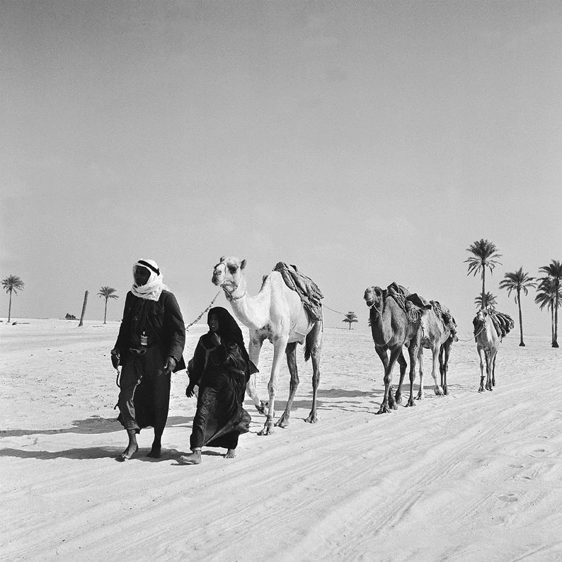 Old Abudhabi, Electronic Village, His excellency mohammed ahmed khalifa al suwaidi, Arabic Poetry, Arabic Knowledge, arabic articles, astrology, science museum, art museum,goethe museum, alwaraq, arab poet, arabic poems, Arabic Books,Arabic Quiz, القرية الإلكترونية  , محمد أحمد خليفة السويدي  , محمد أحمد  السويدي ,  محمد    السويدي ,  محمد  سويدي , mohammed al suwaidi, mohammed al sowaidi,mohammed suwaidi, mohammed sowaidi, mohammad alsuwaidi, mohammad alsowaidi, mohammed ahmed alsuwaidi, محمد السويدي , محمد أحمد  السويدي , muhammed alsuwaidi,muhammed suwaidi 