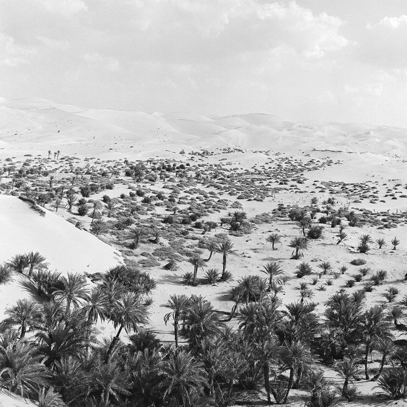 Old Abudhabi, Electronic Village, His excellency mohammed ahmed khalifa al suwaidi, Arabic Poetry, Arabic Knowledge, arabic articles, astrology, science museum, art museum,goethe museum, alwaraq, arab poet, arabic poems, Arabic Books,Arabic Quiz, القرية الإلكترونية  , محمد أحمد خليفة السويدي  , محمد أحمد  السويدي ,  محمد    السويدي ,  محمد  سويدي , mohammed al suwaidi, mohammed al sowaidi,mohammed suwaidi, mohammed sowaidi, mohammad alsuwaidi, mohammad alsowaidi, mohammed ahmed alsuwaidi, محمد السويدي , محمد أحمد  السويدي , muhammed alsuwaidi,muhammed suwaidi 