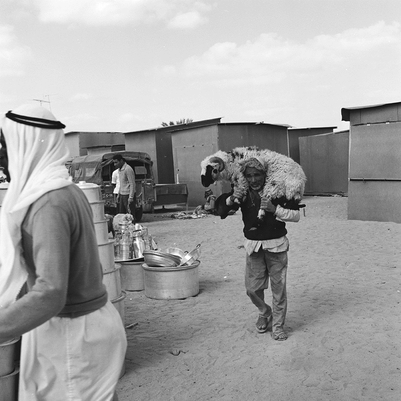Old Abudhabi, Electronic Village, His excellency mohammed ahmed khalifa al suwaidi, Arabic Poetry, Arabic Knowledge, arabic articles, astrology, science museum, art museum,goethe museum, alwaraq, arab poet, arabic poems, Arabic Books,Arabic Quiz, القرية الإلكترونية  , محمد أحمد خليفة السويدي  , محمد أحمد  السويدي ,  محمد    السويدي ,  محمد  سويدي , mohammed al suwaidi, mohammed al sowaidi,mohammed suwaidi, mohammed sowaidi, mohammad alsuwaidi, mohammad alsowaidi, mohammed ahmed alsuwaidi, محمد السويدي , محمد أحمد  السويدي , muhammed alsuwaidi,muhammed suwaidi 