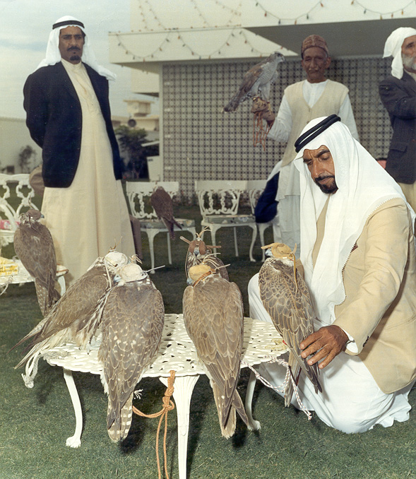   الشيخ زايد يتفقّد صقوره, Electronic Village, His excellency mohammed ahmed khalifa al suwaidi, Arabic Poetry, Arabic Knowledge, arabic articles, astrology, science museum, art museum,goethe museum, alwaraq, arab poet, arabic poems, Arabic Books,Arabic Quiz, القرية الإلكترونية  , محمد أحمد خليفة السويدي  , محمد أحمد  السويدي ,  محمد    السويدي ,  محمد  سويدي , mohammed al suwaidi, mohammed al sowaidi,mohammed suwaidi, mohammed sowaidi, mohammad alsuwaidi, mohammad alsowaidi, mohammed ahmed alsuwaidi, محمد السويدي , محمد أحمد  السويدي , muhammed alsuwaidi,muhammed suwaidi 