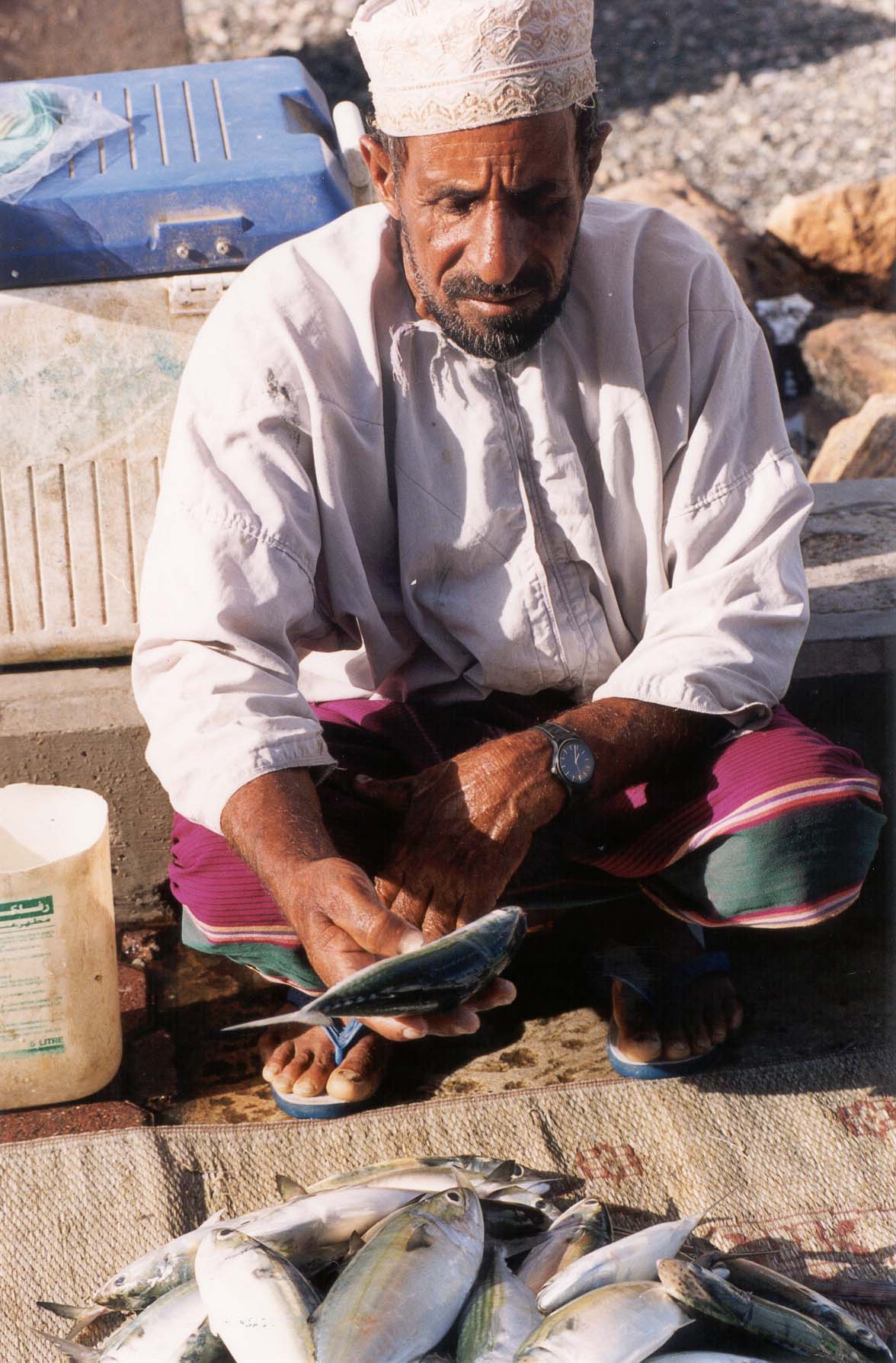 بائع سمك, Electronic Village, His excellency mohammed ahmed khalifa al suwaidi, Arabic Poetry, Arabic Knowledge, arabic articles, astrology, science museum, art museum,goethe museum, alwaraq, arab poet, arabic poems, Arabic Books,Arabic Quiz, القرية الإلكترونية  , محمد أحمد خليفة السويدي  , محمد أحمد  السويدي ,  محمد    السويدي ,  محمد  سويدي , mohammed al suwaidi, mohammed al sowaidi,mohammed suwaidi, mohammed sowaidi, mohammad alsuwaidi, mohammad alsowaidi, mohammed ahmed alsuwaidi, محمد السويدي , محمد أحمد  السويدي , muhammed alsuwaidi,muhammed suwaidi 