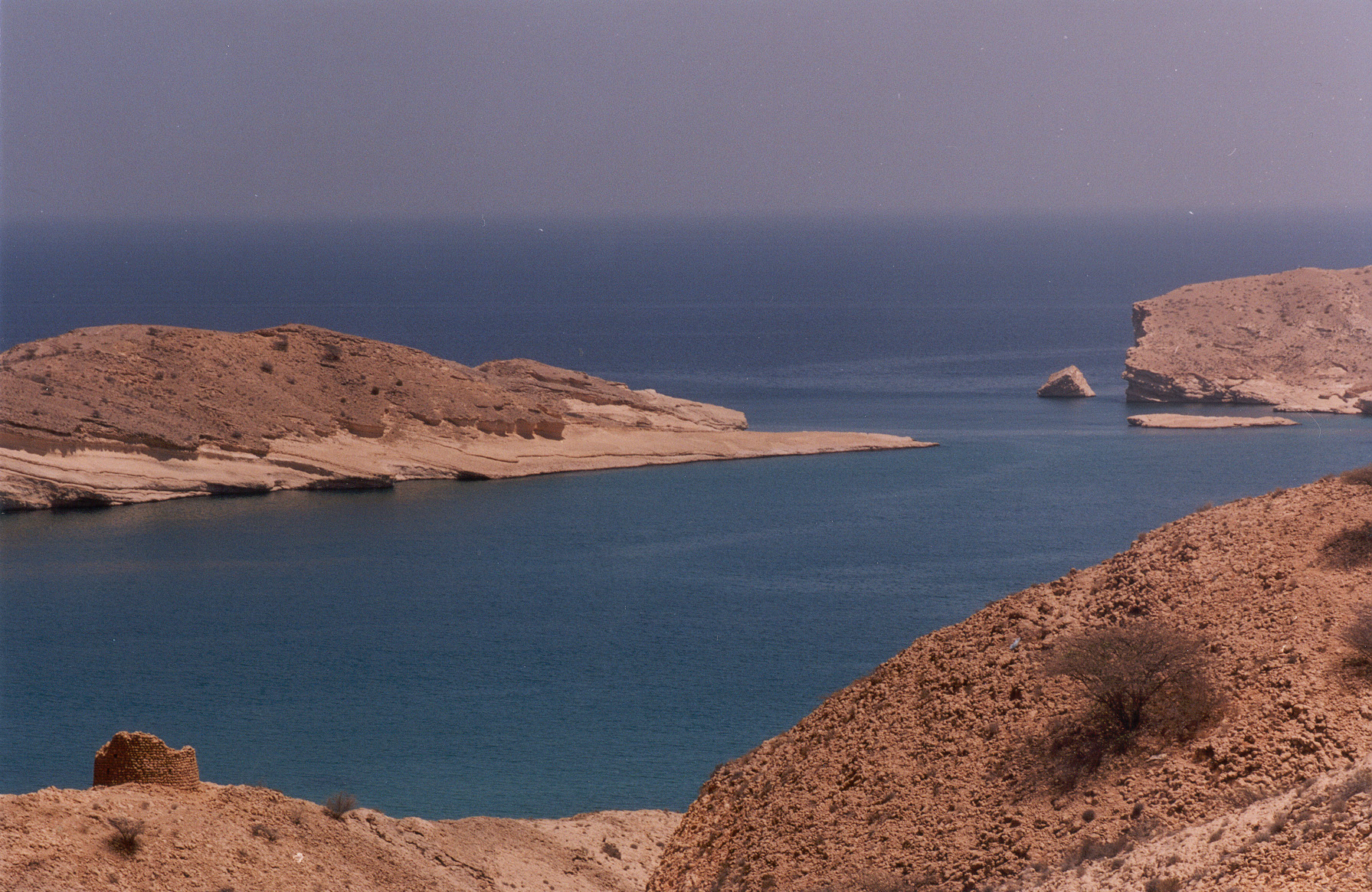  منظر للخيران البحريه في شاطىء الجصه بخليج عمان  , Electronic Village, His excellency mohammed ahmed khalifa al suwaidi, Arabic Poetry, Arabic Knowledge, arabic articles, astrology, science museum, art museum,goethe museum, alwaraq, arab poet, arabic poems, Arabic Books,Arabic Quiz, القرية الإلكترونية  , محمد أحمد خليفة السويدي  , محمد أحمد  السويدي ,  محمد    السويدي ,  محمد  سويدي , mohammed al suwaidi, mohammed al sowaidi,mohammed suwaidi, mohammed sowaidi, mohammad alsuwaidi, mohammad alsowaidi, mohammed ahmed alsuwaidi, محمد السويدي , محمد أحمد  السويدي , muhammed alsuwaidi,muhammed suwaidi 