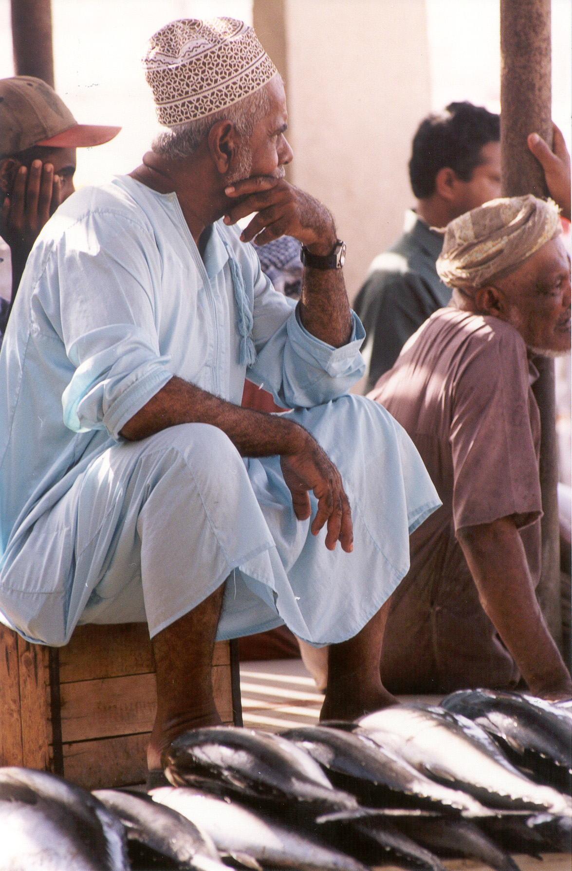   منظر للخيران البحريه في شاطىء الجصه بخليج عمان  , Electronic Village, His excellency mohammed ahmed khalifa al suwaidi, Arabic Poetry, Arabic Knowledge, arabic articles, astrology, science museum, art museum,goethe museum, alwaraq, arab poet, arabic poems, Arabic Books,Arabic Quiz, القرية الإلكترونية  , محمد أحمد خليفة السويدي  , محمد أحمد  السويدي ,  محمد    السويدي ,  محمد  سويدي , mohammed al suwaidi, mohammed al sowaidi,mohammed suwaidi, mohammed sowaidi, mohammad alsuwaidi, mohammad alsowaidi, mohammed ahmed alsuwaidi, محمد السويدي , محمد أحمد  السويدي , muhammed alsuwaidi,muhammed suwaidi 