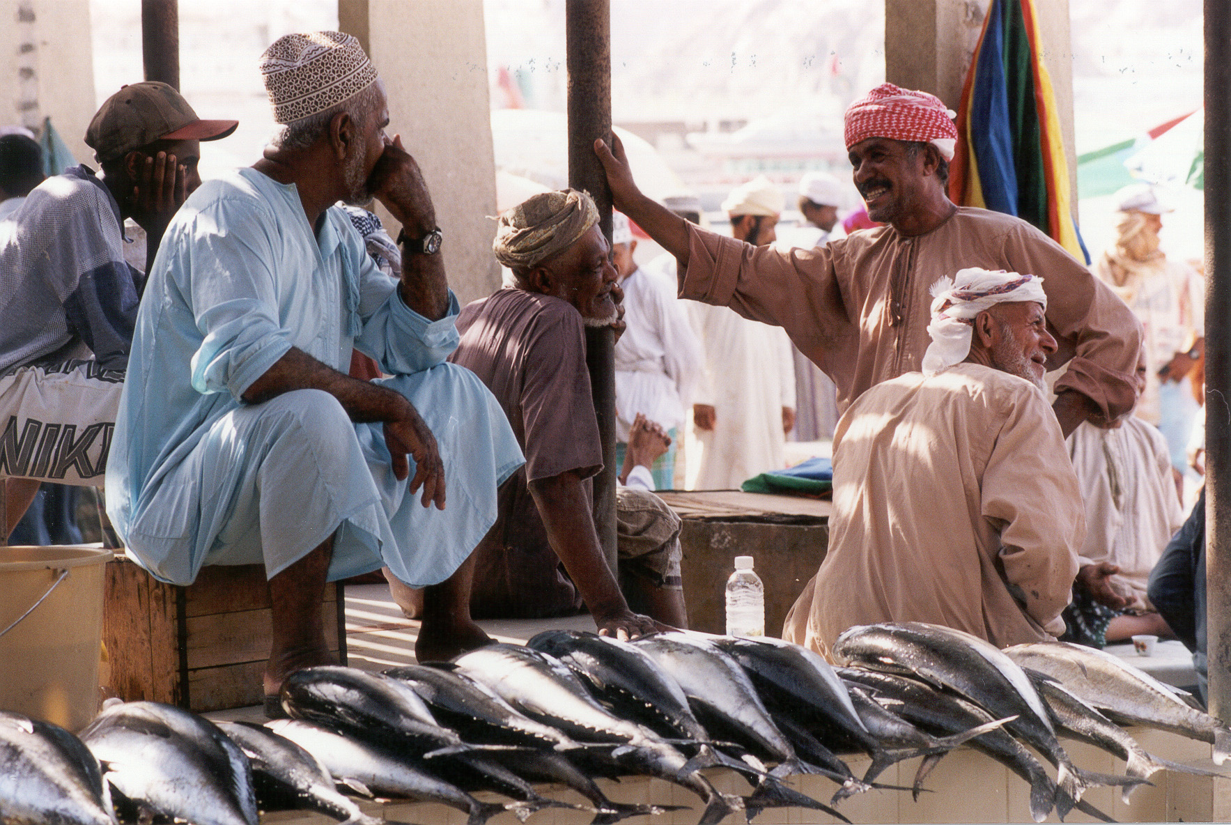   منظر للخيران البحريه في شاطىء الجصه بخليج عمان  , Electronic Village, His excellency mohammed ahmed khalifa al suwaidi, Arabic Poetry, Arabic Knowledge, arabic articles, astrology, science museum, art museum,goethe museum, alwaraq, arab poet, arabic poems, Arabic Books,Arabic Quiz, القرية الإلكترونية  , محمد أحمد خليفة السويدي  , محمد أحمد  السويدي ,  محمد    السويدي ,  محمد  سويدي , mohammed al suwaidi, mohammed al sowaidi,mohammed suwaidi, mohammed sowaidi, mohammad alsuwaidi, mohammad alsowaidi, mohammed ahmed alsuwaidi, محمد السويدي , محمد أحمد  السويدي , muhammed alsuwaidi,muhammed suwaidi 