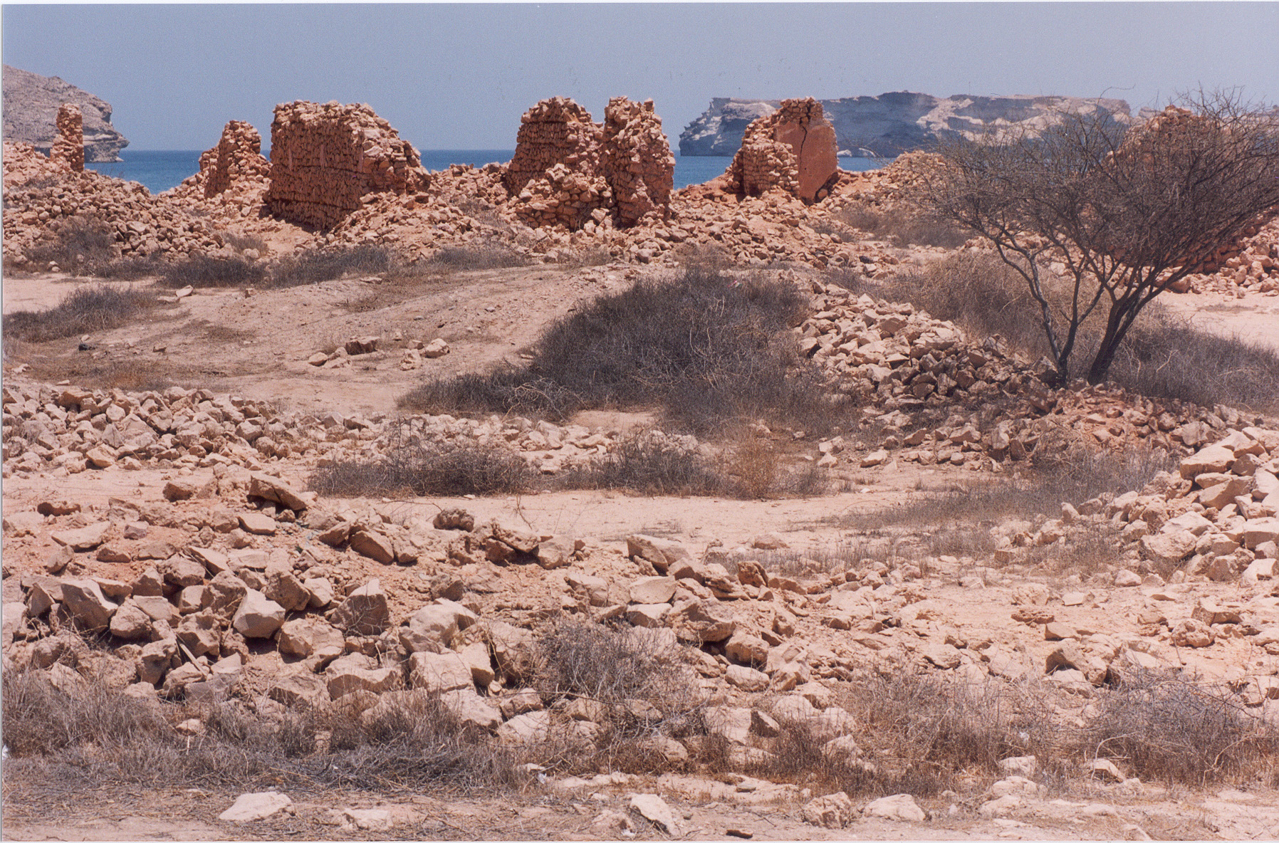 منظر لشاطىء الجصه, Electronic Village, His excellency mohammed ahmed khalifa al suwaidi, Arabic Poetry, Arabic Knowledge, arabic articles, astrology, science museum, art museum,goethe museum, alwaraq, arab poet, arabic poems, Arabic Books,Arabic Quiz, القرية الإلكترونية  , محمد أحمد خليفة السويدي  , محمد أحمد  السويدي ,  محمد    السويدي ,  محمد  سويدي , mohammed al suwaidi, mohammed al sowaidi,mohammed suwaidi, mohammed sowaidi, mohammad alsuwaidi, mohammad alsowaidi, mohammed ahmed alsuwaidi, محمد السويدي , محمد أحمد  السويدي , muhammed alsuwaidi,muhammed suwaidi 